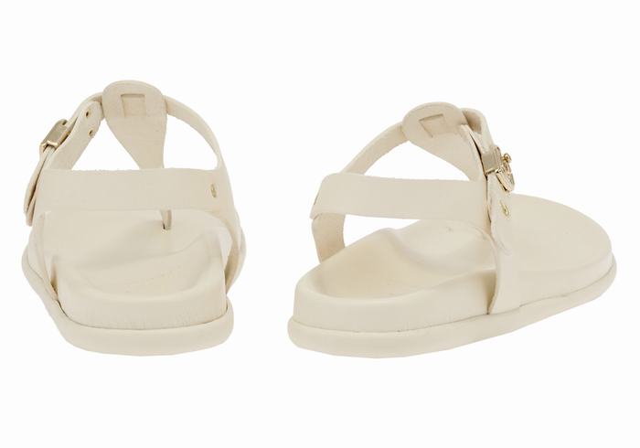 Sandales Bride Arrière Ancient Greek Sandals Alki Flip Flop   | WIY-5773476